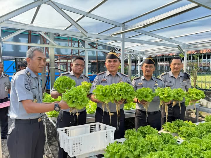 Wujudkan Ketahanan Pangan, Lapas Makassar Panen Perdana Daun Selada Hidroponik