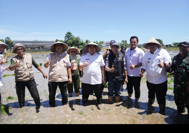 Saksikan Gerakan Menanam Serentak dengan Presiden Prabowo, Appi Turun Tanam Padi Bareng Warga