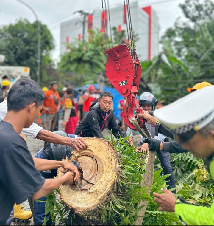 Camat Biringkanaya Pimpin Aksi Cepat Penanganan Pohon Tumbang di Jalan Perintis Kemerdekaan