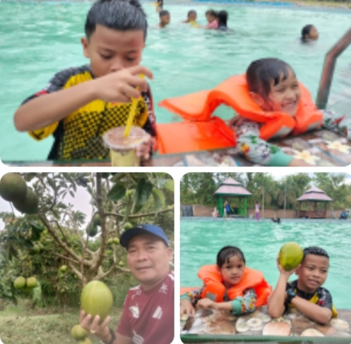 Agrowisata Karebosi Mampise Sidrap Manjakan Pengunjung, Petik Buah Langsung dan Nikmati Jus Segarnya