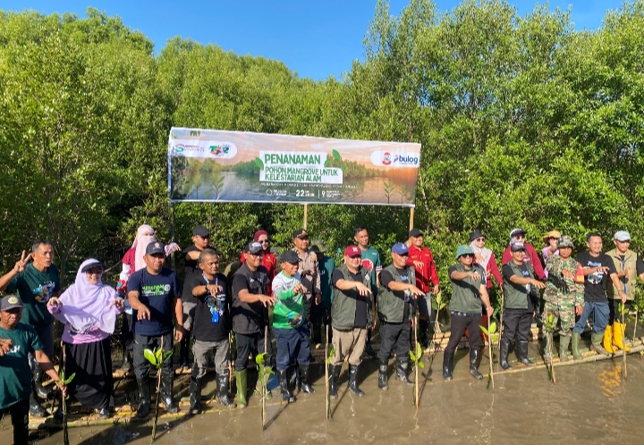 Ikatan Alumni SMAN 2 Makassar Tanam Mangrove di Lantebung, Dihadiri Walikota Makassar