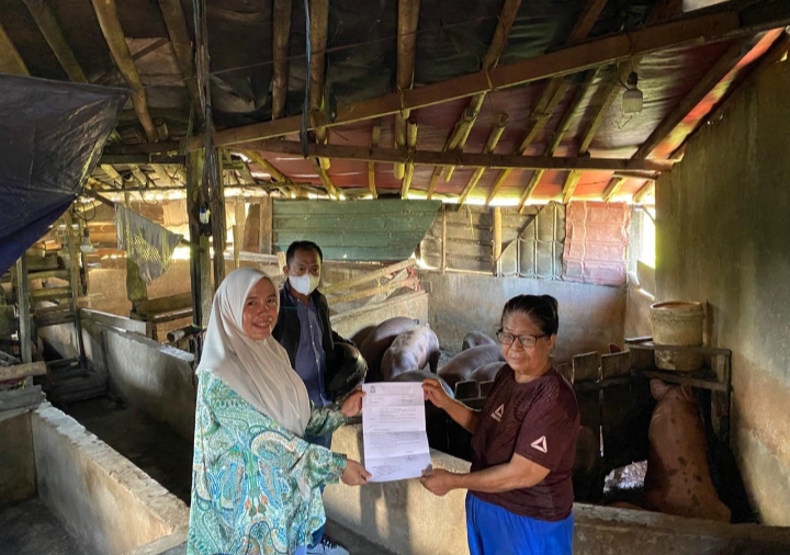 Lurah Panaikang Serahkan Langsung Teguran III kepada Warga, Peternak Babi Diminta Segera Pindah Lokasi