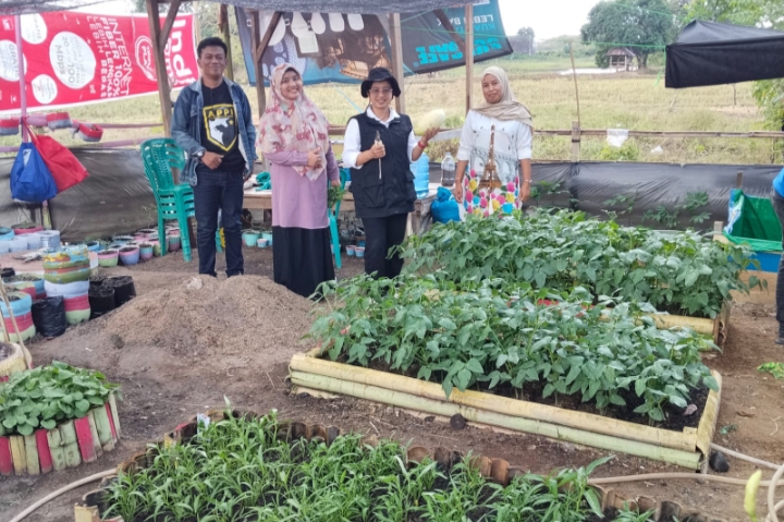 Lurah Paccerakkang Tinjau Urban Farming Terintegrasi KWT Bumi Sakina Lestari, Panen Perdana Kompos Hasil Teba Modern