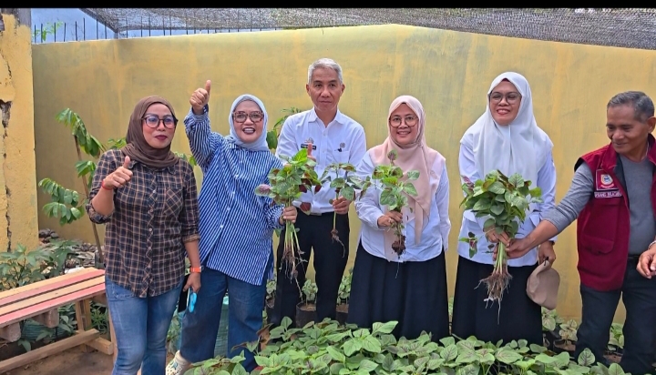 Panen Perdana Urban Farming di Kelurahan Pisang Selatan, Warga Apresiasi Dukungan Pemerintah