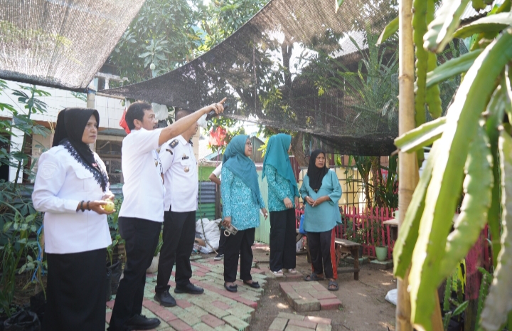 Urban Farming Kebun PKK RW 3 Parangloe, Dorong Kemandirian Pangan Keluarga